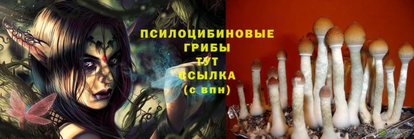 гашишное масло Магас