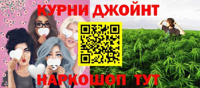 сатива Бердск